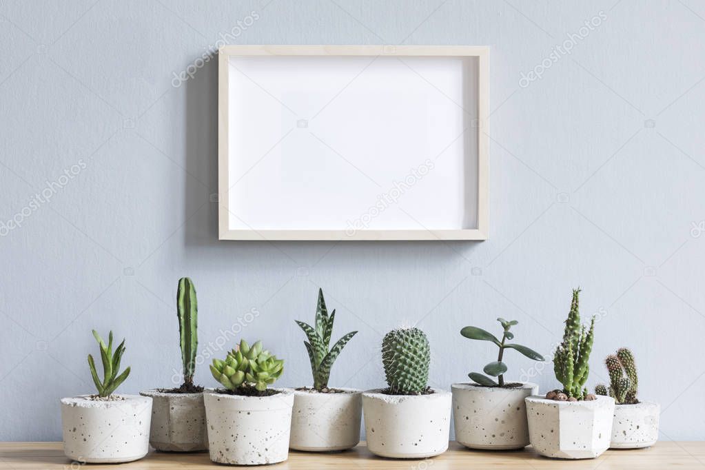 Green succulents in cement pots and blank frame on wooden table