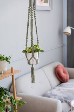 yeşil bitkiler iç dekorasyonlu rahat oda