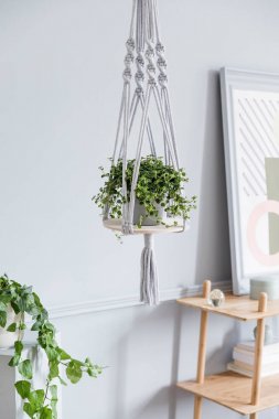 yeşil bitkiler iç dekorasyonlu rahat oda