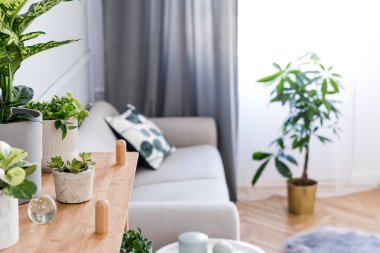 yeşil bitkiler iç dekorasyonlu rahat oda