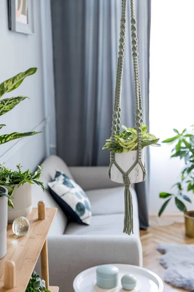 Aconchegante Quarto Decorado Com Plantas Verdes Interior — Fotografia de Stock