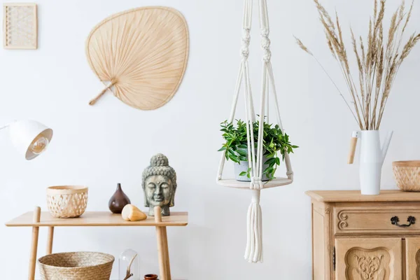 Gezellige Kamer Ingericht Met Groene Planten Interieur — Stockfoto