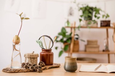 Ahşap masa, tasarım ve orman aksesuarları, avokado tesisi, bitkiler ve ofis malzemeleri ile bambu raf ile ev alanı İskandinav ve şık iç yakın. Modern ev dekoru. 