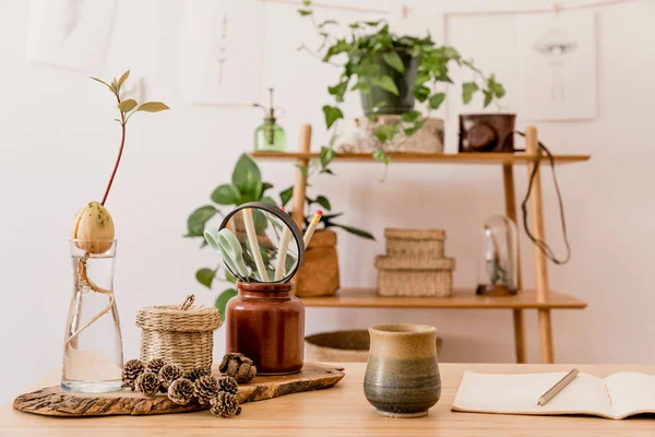 Stylish Interior Home Office Space Wooden Desk Forest Accessories Avocado — Stock Photo, Image