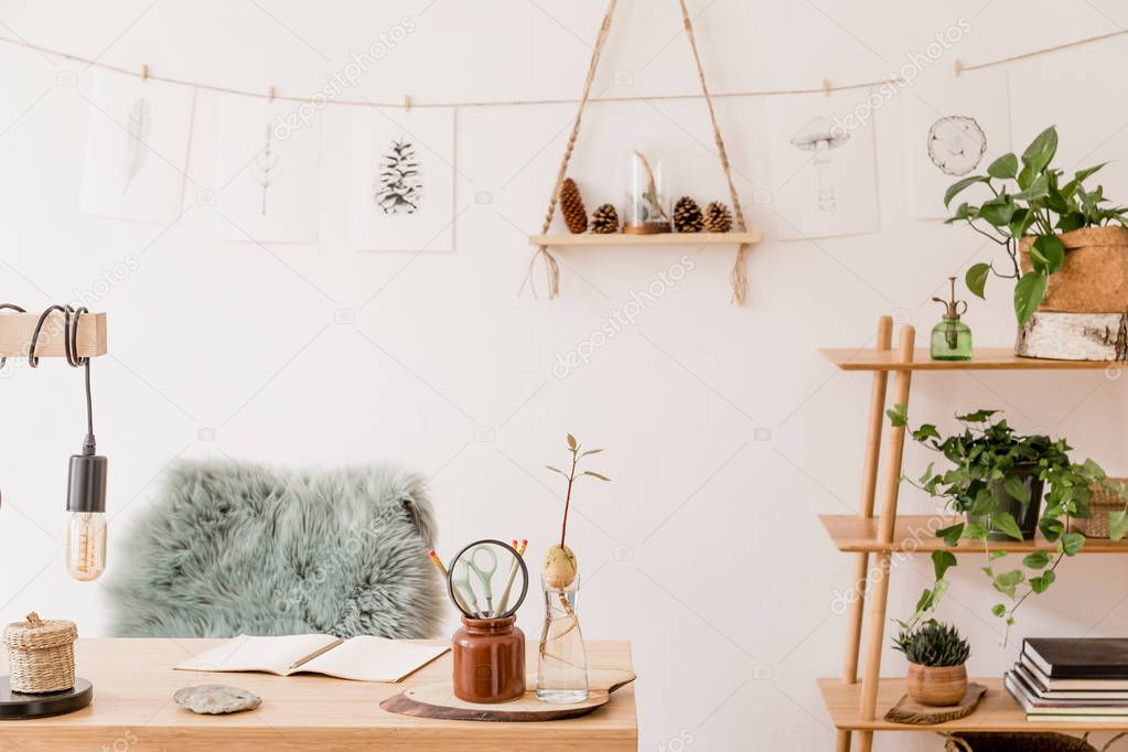 Stylish scandinavian home interior of open space, with a lot of plants, design accessories, bamboo shelf, wooden desk and hanging mock up forest drawings . Natural concept of home decor. Sunny room.
