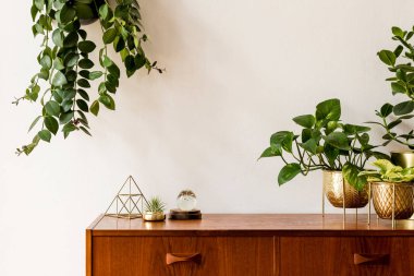 Zarif altın aksesuarları ile vintage dolap ile ev iç Güzel ve retro alan, şık tencere bitkilerin bir sürü. Rahat ev dekorasyonu. Minimalist kavram. Ev bahçesi. Kopya alanı. Şablon