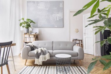 Beyaz duvarda zarif battaniye, sehpa ve kitaplık ile tasarım kanepe ile oturma odası modern scandianvian dekor. Kahverengi ahşap parke. Minimalist iç mekan kavramı.