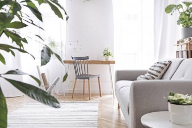 Tasarım mobilyalar, gri kanepe, bitkiler, bambu kitaplık ve ahşap masa ile modern İskandinav oturma odası. Kahverengi ahşap parke. Güzel bir daire. Şık bir dekor. Ev alanının parlak ve güneşli tarafı.