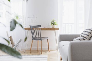 Tasarım mobilyalar, gri kanepe, bitkiler, bambu kitaplık ve ahşap masa ile modern İskandinav oturma odası. Kahverengi ahşap parke. Güzel bir daire. Şık bir dekor. Ev alanının parlak ve güneşli tarafı.