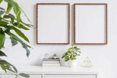 Kitaplar, güzel bitkiler, altın piramit ve ev aksesuarları ile beyaz rafta iki kahverengi ahşap sahte fotoğraf çerçeveleri ile şık ev iç. Beyaz oda dekor minimalist kavramı. 