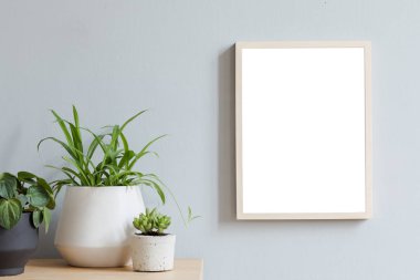 Tasarım hipster beyaz pot güzel bitki ile kahverengi ahşap masa üzerinde fotoğraf çerçevesi kadar sahte minimalist oda iç. Gri duvarlar. Poster çerçevesi kadar mock şık ve çiçek kavramı. 