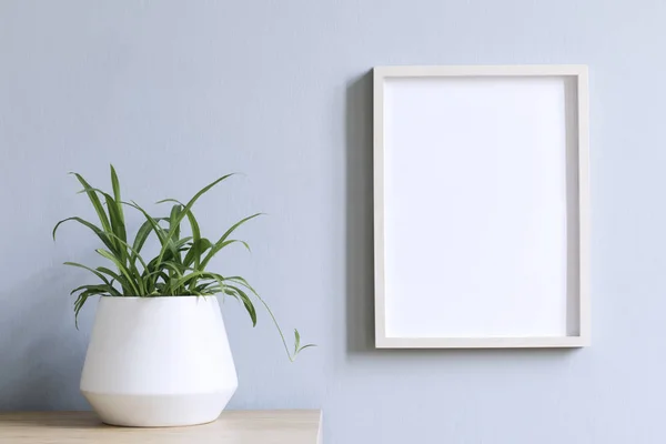Minimalistic room interior with mock up photo frame on the brown wooden table with beautiful plant in design white pot. Grey walls. Stylish concept of mock up poster frame.