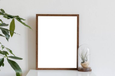İskandinav ve minimalist iç cam kutuda hava bitkileri ile beyaz rafta poster çerçevesi kadar kahverengi mock. Beyaz duvarlar. Modern ve çiçek konsepti.