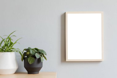 Tasarım hipster pot güzel bitki ile kahverengi ahşap masa üzerinde fotoğraf çerçevesi kadar sahte minimalist botanik oda iç. Gri duvarlar. Poster çerçevesi kadar mock şık ve çiçek kavramı. 