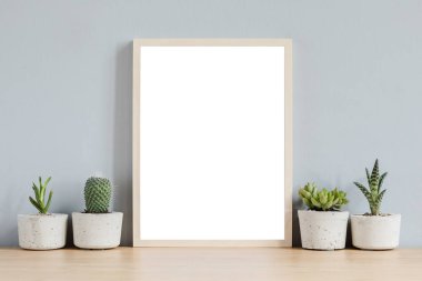 Şık çimento tencere kaktüsler ve sulu kompozisyon ile kahverengi ahşap masa üzerinde fotoğraf çerçevesi kadar sahte botanik ev iç. Gri duvarlar. Ev bahçesişık ve çiçek kavramı.
