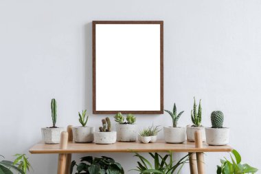 Güzel kaktüsler, çimento tencere sulu ile kahverengi bambu rafta fotoğraf çerçevesi kadar sahte İskandinav oda iç. Beyaz duvarlar. Rafların modern ve çiçek konsepti.