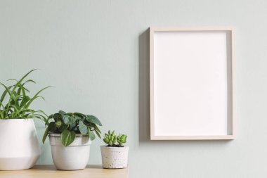 Tasarım hipster beyaz pot güzel bitki ile kahverengi ahşap masa üzerinde fotoğraf çerçevesi kadar sahte minimalist oda iç. Gri duvarlar. Poster çerçevesi kadar mock şık ve çiçek kavramı. 
