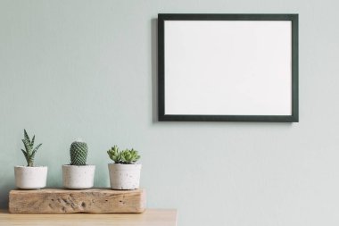 Hipster çimento tencere ahşap parça üzerinde kaktüsler ve sulu kompozisyon ile kahverengi masada çerçeve kadar sahte şık ev iç. Gri duvarlar. Ev bahçesişık ve çiçek kavramı.