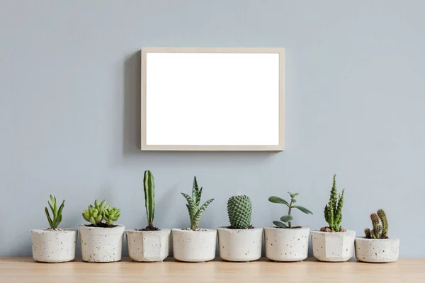 Minimalistyczne Wnętrze Domu Makiety Ramki Brązowy Drewniany Stół Kompozycji Kaktusów — Zdjęcie stockowe