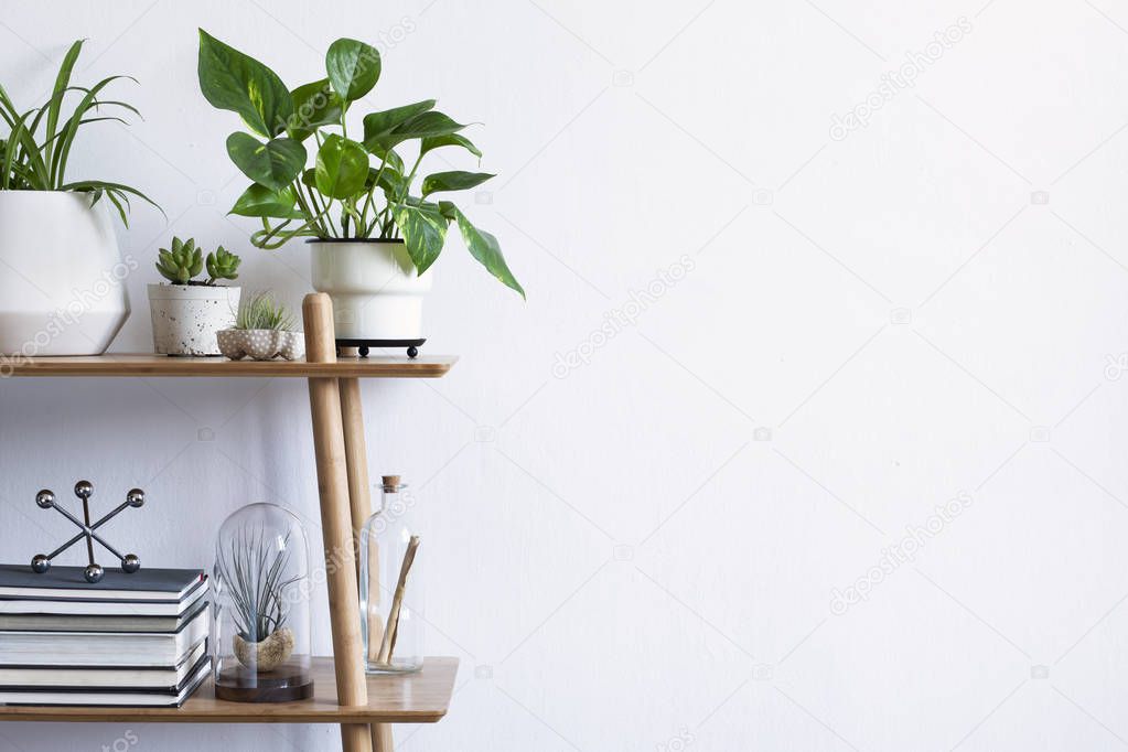 Scandinavian room interior with mock up poster frame on the brown bamboo shelf with beautiful plants in hipster and design pots, books and accessories. White walls. Modern and floral concept.