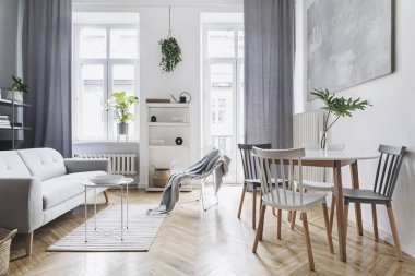 Tasarım kanepe, aile masası, bitki, duvarda beyaz kitaplık ile parlak ev nordic oturma odası. Kahverengi ahşap parke. Beyaz duvarda soyut resim. Minimalist iç mekan kavramı.