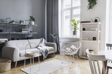 Battaniye, sehpa, bitkiler, şık aksesuarlar ve kitaplıklar ile tasarım kanepe ile modern ve parlak ev nordic oturma odası. Kahverengi ahşap parke. Minimalist iç mekan kavramı.