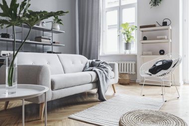 Yastık, sehpa, bitkiler, şık aksesuarlar ve gri duvarüzerinde kitaplık ile tasarım kanepe ile oturma odası İskandinav ev iç. Kahverengi ahşap parke. Minimalist iç mekan kavramı.