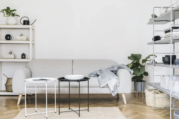 Minimalistic nordic home interior with design sofa, bookstand with accessories, tropical plants, coffee tables and stylish furniture. Empty white walls. Cozy space of living room.Brown wooden parquet