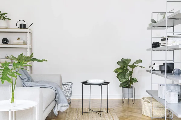 Modern nordic home interior with grey bookstand with accessories, design sofa, tropical plants, coffee table and stylish furniture. Empty white walls. Cozy space of living room. Brown wooden parquet