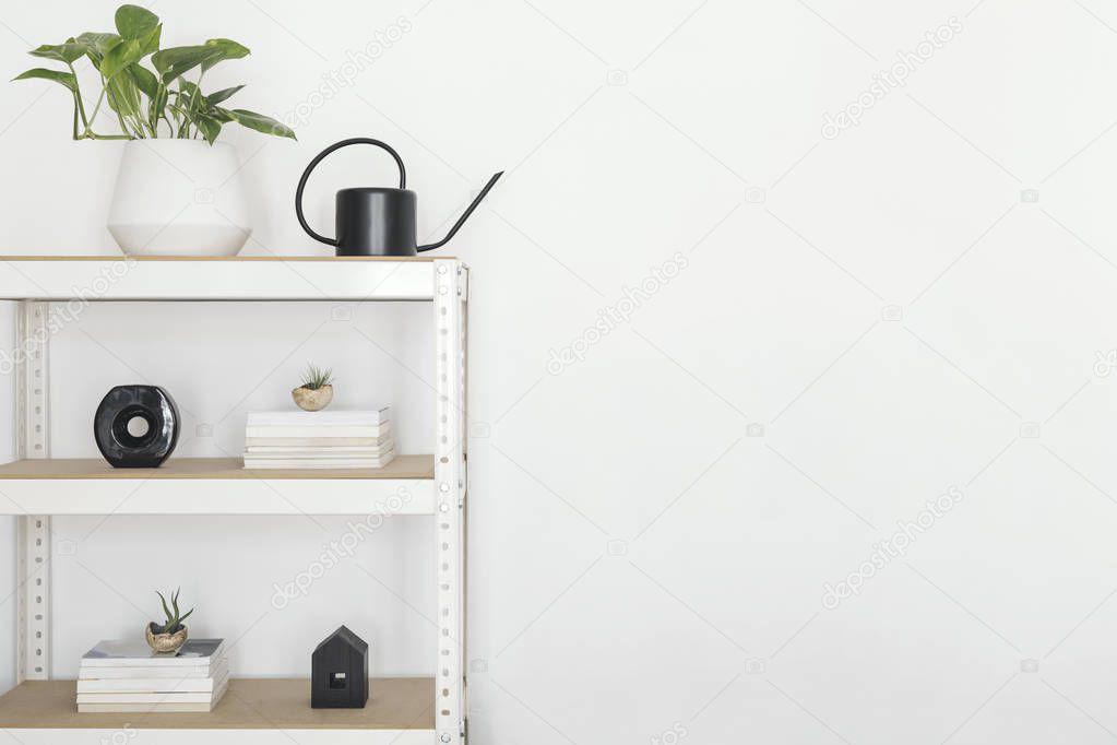 Stylish scandinavian open space interior with white bookstand, plant and accessorries. Empty white walls. Copy space for inscriptions.