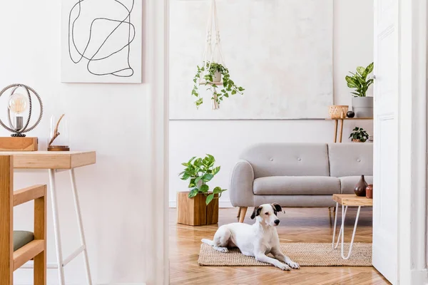 Design Boho Interior Living Room Cozy Apartment Withh Elegant Personal — Stock Photo, Image