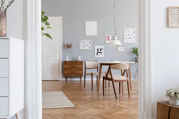 Design scandinavian home interior of open space with stylish chairs, family table , plants elegant accessories and mock up posters gallery wall. Gray background walls. Retro cozy home decor.