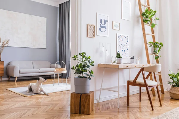 Desain Interior Skandinavia Dari Ruang Rumah Dengan Kursi Stylish Meja — Stok Foto