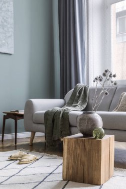 Gri kanepe, ekose, vazo çiçekler, retro ayak ve zarif aksesuarları ile iç tasarım Modern ve bohem kompozisyon. Şık ev dekorasyonu. Şablon