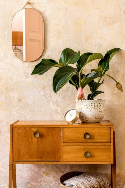 Oturma odasının içerisindeki ahşap klozet, altın rengi ayna, bitki, rattan sepeti, ekose, dekorasyon ve Wabi Sabi ev dekorasyonundaki zarif kişisel aksesuarlar.. 