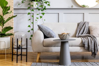 İskandinav oturma odası iç mimarisi tasarım kanepesi, kahve masası, saksı, lamba, halı, ekose, yastık, raf, dekorasyon ve modern ev dekorasyonunda kişisel aksesuarlar.