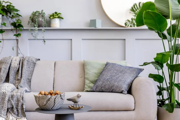 Innenarchitektur Des Skandinavischen Wohnzimmers Mit Stilvollem Grauen Sofa Couchtisch Tropischer — Stockfoto