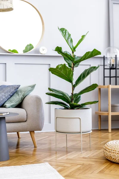 Komposisi Modern Interior Ruang Tamu Dengan Desain Sofa Meja Kopi — Stok Foto