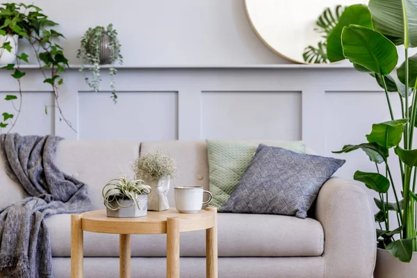 现代家居装潢中带有时尚灰色沙发 咖啡桌 热带植物 装饰品 格子花和典雅个人饰品的丑闻鸟类客厅室内设计 — 图库照片