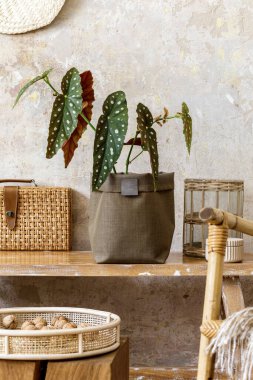 Ev içinde ahşap bank, rattan dekorasyon, mobilya, nötr çömleğe bitki ve şık ev dekorasyonunda kişisel aksesuarlar ile güzel bir kompozisyon..