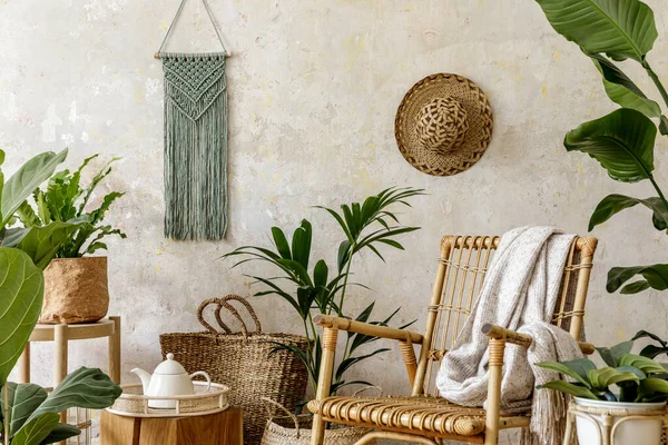Composição Elegante Floral Sala Estar Interior Com Poltrona Vime Monte — Fotografia de Stock