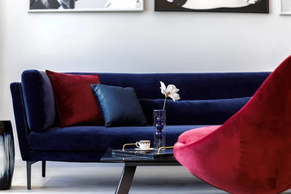 Interior design of living room with blue velvet sofa, red armchair, paintings, design vase, table, decoration, concrete floor, elegant personal accessories in modern home decor.