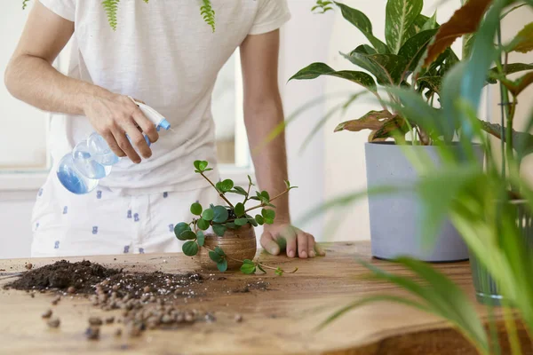 Woman Gardeners Watering Plant Marble Ceramic Pots White Wooden Table — Stock Photo, Image