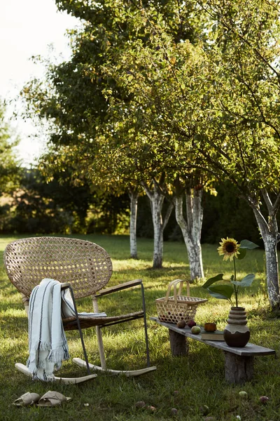 デザイン籐のアームチェア 木製のベンチ 食べ物 飲み物 エレガントなアクセサリーと田舎の庭のスタイリッシュな組成 色鮮やかな花がたくさんあります 夏気分 — ストック写真