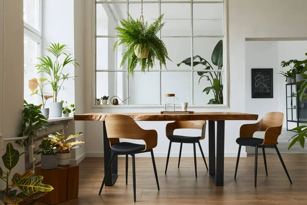 Yemek Odasının Tasarım Sanatı Ahşap Masa Sandalyeler Bir Tomar Bitki — Stok fotoğraf