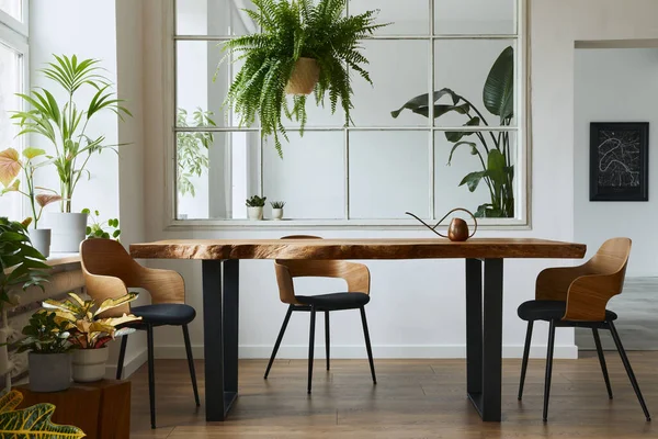 客房内饰时尚 植物学 配有设计工艺木桌 一串串植物 大窗户 招贴画和雅致的室内装饰 — 图库照片