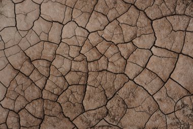 Çölde kuru çatlak çamur