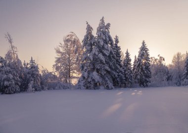 Soğuk kış akşamları