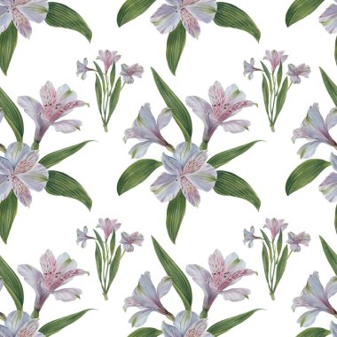 Alstroemeria ile Seamless çiçek modeli suluboya