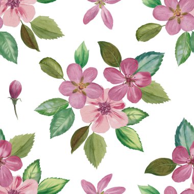 Sorunsuz suluboya desen. El suluboya resim boyalı. Sorunsuz botanik suluboya egzotik çiçek desenli.